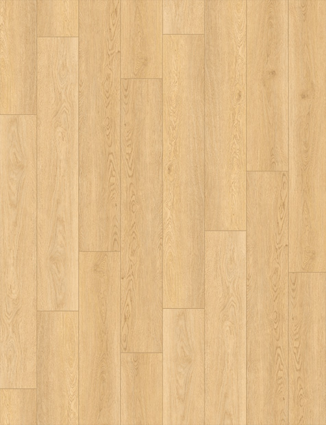SCALIA Beech