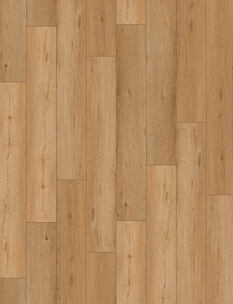 VOSS BEECH -P