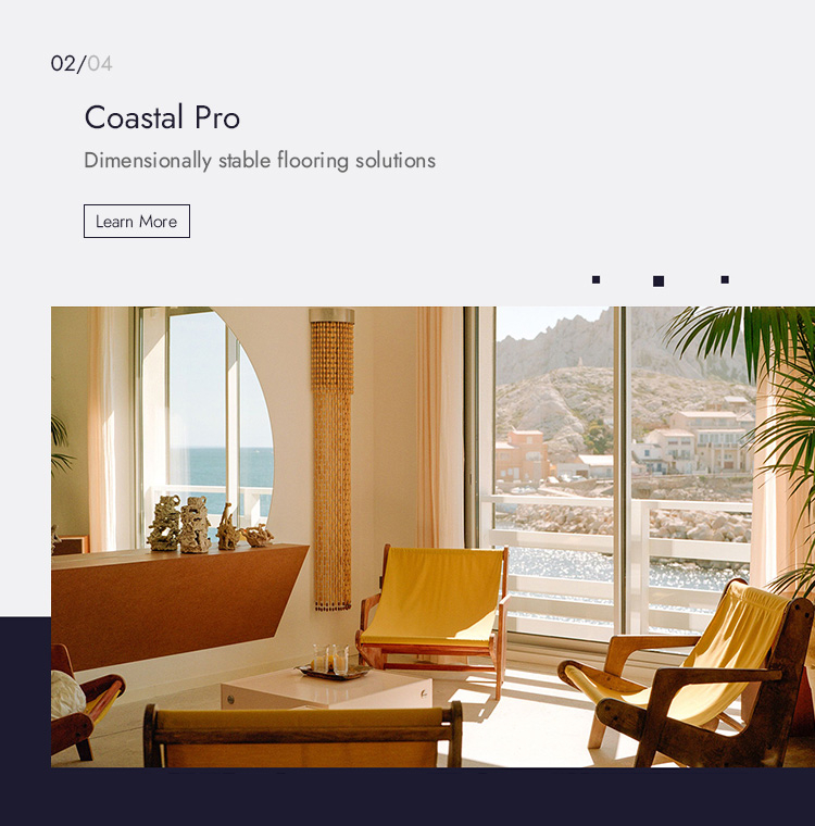 2-Coastal-&-Challenging-Climate-Solutions