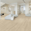 MAYBACH PURE Light Oak SPC Flooring for Offices and Minimalist Interiors